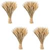 Generico Spighe Di Grano, Set Di 400 stelis Di Grano Essiccati, Fiori Di Granos Essiccati Naturali, Paglia Dorata Essiccata, Stile Rustico Con Decorazioni A Spighe Di Granos Naturali Per La Casa Compleanni