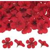 M METERXITY 50-Pezzi Teste Di Fiori Di Orchidea Artificiale, Teste Di Fiori Di Seta Finta Per Artigianato Fai Da Te/Vestiti/Matrimonio/Decorazione Per Feste [Rosso, 2.2/5.5cm]