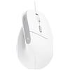 TRUST 25397 BAYO II BIANCO ERGONOMICO VERTICALE MOUSE