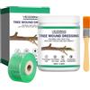 Crunier Mastice Cicatrizzante per Alberi, Pasta per Innesti da Giardino, Piante Ornamentali, Bonsai - Favorisce la Guarigione, Forma una Pellicola Protettiva Rapida - 100 g con Nastro per Innesti (2cm)