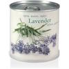 MacFlowers Fiori in scatola - Lavanda