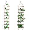 QoTang 2 scale da arrampicata in legno, 15 x 90 cm, da appendere a parete con corda a nappa, traliccio decorativo per piante Pothos, per interni ed esterni in giardino