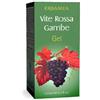 ERBAMEA Srl Vite rossa gambe gel 125 ml