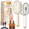 Generico Electric Spray Air Cushion Massage Comb, Electric Hair Brush Women with Water Spray, 3-in-1 Anti-Static Detangling Comb & Air Cushion Massage for Smoothing Styling & Frizz Control (2PCS B)