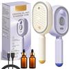 Generico Electric Spray Air Cushion Massage Comb, Electric Hair Brush Women with Water Spray, 3-in-1 Anti-Static Detangling Comb & Air Cushion Massage for Smoothing Styling & Frizz Control (2PCS A)
