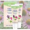 Generico Just Crema Labbra con Echinacea e Brunella, Balsamo Labbra Idratante, Made in Switzerland