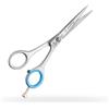 Consorzio Premax Forbici da parrucchiere PREMAX - Linea Expert 15865 in acciaio inossidabile 5 1/2