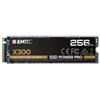 EMTEC X300 NVMe 256 GB - Disco a stato solido - ECSSD256GX300