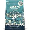 Lily's Kitchen - Cena di Salmone da 7 Kg