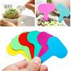 NONE 100 etichette da giardino per classificazione delle piante, cartello di smistamento, biglietto, targhetta da scrittura in plastica, scheda plug-in colorata