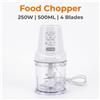 HOOMEI Tritacibo Elettrico 300W Alta Potenza, Capacità 2L, In Acciaio Inossidabile, Macinatore per Cucina, adatto per Aglio, Carne, Verdure e Frutta Secca