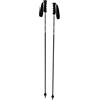 VAN DEER Bastoni RACE CARBON Sci Alpino