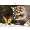 OUSIKA Tappetino scolapiatti gatto e farfalla per bancone da cucina in microfibra scolapiatti tappetino assorbente pad scolapiatti ad asciugatura rapida 46 × 61 cm