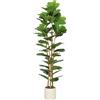 HOMCOM Albero Artificiale di Ficus Lyrata, Pianta Artificiale con 91 Foglie, Tronco in Legno Massiccio, Vaso, 55x55x180 cm, Verde | Aosom Italy