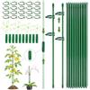 DAVIDJAMESCLARKE Tutor per Pianti,20 Tutor Pianta Interno, 20 Gambi di Piante Clips, 10 Steli Tubo di Estensione, Attacco Pianta Tutor Orchidea, Fissaggio della Crescita delle Piante, Con 4 Fissaggio delle Piante