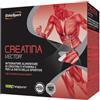 ES ITALIA Srl BRAND ETHICSPORT Ethicsport Creatina Vector 20 Bustine 8 G