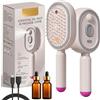 Generico Electric Spray Air Cushion Massage Comb, Electric Hair Brush Women with Water Spray, 3-in-1 Anti-Static Detangling Comb & Air Cushion Massage for Smoothing Styling & Frizz Control (2PCS D)