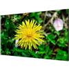 HIKVISION VIDEOWALL 55", 1080P, 500cd/mq-bezelwidth:1.8mm,Input: VGA/DVI/DP/HDMI, output: DP/HDMI, support 4K input - VESA DS-D2 - DS-D2055LE-G
