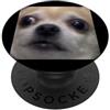 Cute Dog Meme Humor Graphics (Chihuahua) Divertente Nervoso Chihuahua Viso Sfocato Foto Cane Meme PopSockets PopGrip Adesivo