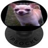 Funny Cute Dog Meme Humors Art (Chihuahu Creepy Chihuahua Face Divertente Sfocato Cane Meme PopSockets PopGrip Adesivo