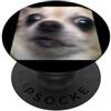Funny Cute Dog Meme Humor Arts (Chihuahu Divertente Chihuahua Viso Sfocato Foto Cane Meme PopSockets PopGrip Adesivo