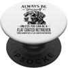 Cool Flat Coated Retriever Dog Design Divertente cane da caccia con rivestimento piatto Be A Flat Coated Retriever PopSockets PopGrip Adesivo