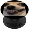 Funny Dog Meme Humor Graphics (Chihuahua Divertente Chihuahua Viso Sfocato Foto Cane Meme PopSockets PopGrip Adesivo
