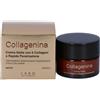 LABO INTERNATIONAL Srl COLLAGENINA CREMA NOTTE 2 50ML