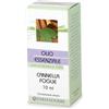 FARMADERBE Srl CANNELLA FOGLIE OLIO ESSENZIALE 10 ML