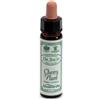 SANTIVERI Sa AINSWORTHS CHERRY PLUM 10ML