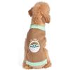 STAR WARS for Pets The Mandalorian Dog Sweater, Medium (M) | The Mandalorian & GROGU Maglione per cani | Abbigliamento Star Wars Pet, Maglione Star Wars per cani