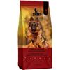 SNAX Daily Ham 20 kg alimento secco completo per cani adulti al gusto di prosciutto