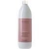 Amethyste Chroma Color Protective Shampoo 1000ml - shampoo capelli colorati