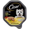 Cesar Senior 10+ con pollo e riso in gelatina umido per cane in vaschette (150 g) 1 confezione (14 x 150 g)