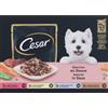 Cesar Adult Selezione in salsa multipack umido per cane in bustine (100 g) 4 scatole (48 x 100 g)