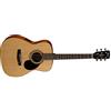 Cort Chitarra acustica Elettrificata