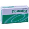 Cicatridina Creme per il Corpo - Idratanti - 535 Gr