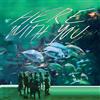 Tahiti 80 Here With You (Vinyl LP)