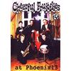 Cheerful Fruitflies!: at phoenix13 (DVD) Mark van Eden