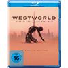 Warner Bros (Universal Pictures) Westworld - Staffel 3 (Blu-ray) Ed Harris Evan Rachel Wood James Marsden