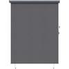 vidaXL Tenda a rullo Antracite 200 x 250 cm Tessuto e Alluminio, Tenda a rullo rettangolare moderna, ombra per patio, giardino, copertura per balcone, blocco sole e calore