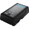 Sonstige Verlage Batteria Newell BP-95W con montaggio a V