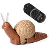 Generico Auto Lumaca RC - Giocattolo Elettronico Per Animali Da 15 Cm, Veicolo Telecomandato | Giocattolo Realistico E Sicuro Per Bambini Per Compleanno, Natale, Festa Di Halloween, Intrattenimen