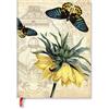 Paperblanks Golden Fritillaria Mini Lined Softc (Tascabile) (PRESALE 03/09/2026)