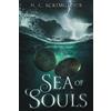 N. C. Scrimgeour Sea of Souls (Tascabile) Sea of Souls Saga
