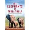 Françoise Malby-Anthony The Elephants of Thula Thula (Tascabile)