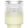 Chesapeake Bay Candle Chesapeake Bay Candela profumata | Candela Media | Golden Sands | Regali Perfetti per Donne