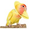 Generisch Parrot - Collare anti- da 7 cm, soluzione di protezione per uccelli regolabile, supporta fasi di guarigione sicure dopo perdita di piuma e irritazioni della pelle, ottimizza la cura senza stress