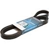 DAYCO 6PK2195 CINGHIA POLY-V JEEP CHEROKEE 25