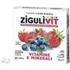 Ziguli' - Ziguli vit fruttibosco 40 confetti